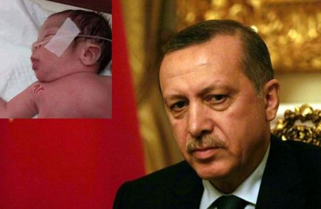 "طيب أردوغان" في الخليل